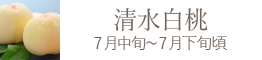 岡山県産 おかやま夢白桃 おすすめ通販お取り寄せ