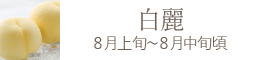 岡山県産 紫苑（ぶどう）おすすめ通販お取り寄せ