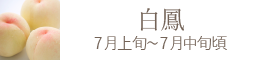 岡山県産 白皇（白桃）おすすめ通販お取り寄せ