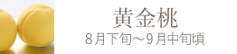 岡山県産 瀬戸内白桃おすすめ通販お取り寄せ