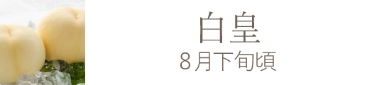 岡山県産 ニューピオーネおすすめ通販お取り寄せ