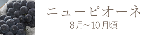 岡山県産 おかやま夢白桃 おすすめ通販お取り寄せ