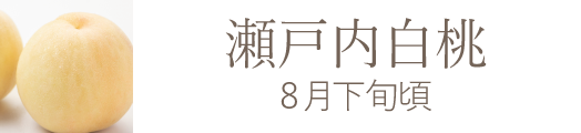 岡山県産 白麗（白桃）おすすめ通販お取り寄せ