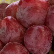 皮ごと食べれるブラックシャインマスカット 皮ごと食べれるブラックシャインマスカット