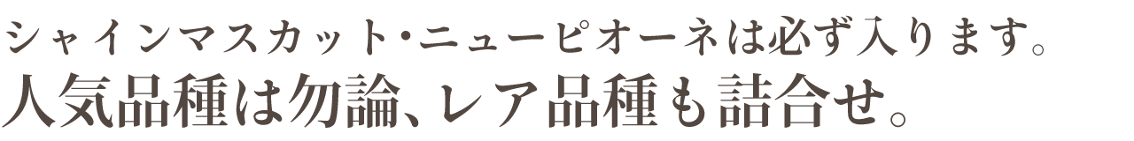 岡山ぶどうアソートギフト ぶどうのブーケ