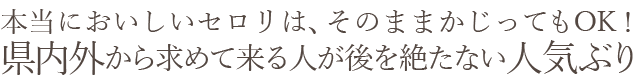 本当においしいセロリはそのままかじってもOK!