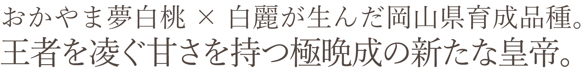 岡山県産 白皇（白桃）おすすめ通販お取り寄せ