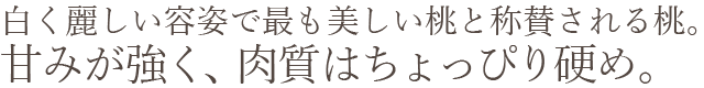 岡山県産 白麗（白桃）おすすめ通販お取り寄せ