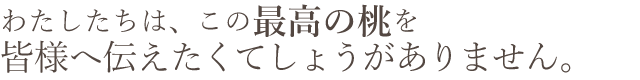 岡山県産 黄金桃おすすめ通販お取り寄せ