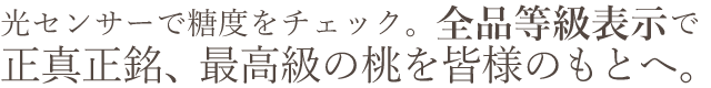 岡山県産 黄金桃おすすめ通販お取り寄せ