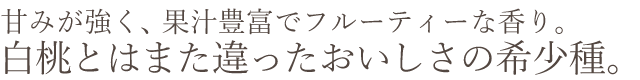 岡山県産 黄金桃おすすめ通販お取り寄せ