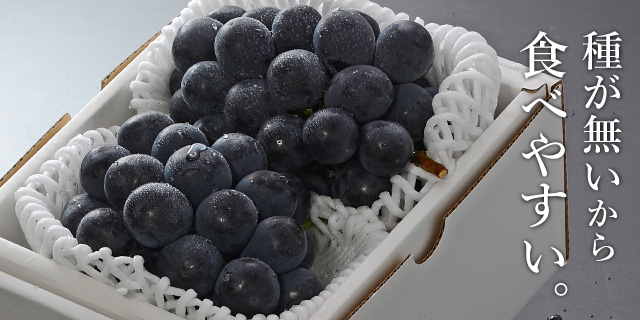 種がないから、食べやすい 種がないから、食べやすい