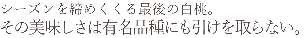 岡山県産 瀬戸内白桃おすすめ通販お取り寄せ