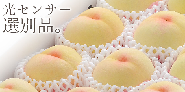 97 岡山県産 清水白桃の若桃 1,1kg以上