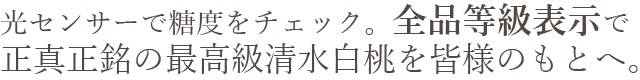 岡山県産 清水白桃 おすすめ通販お取り寄せ