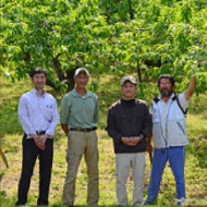 岡山県産 白皇（白桃）おすすめ通販お取り寄せ