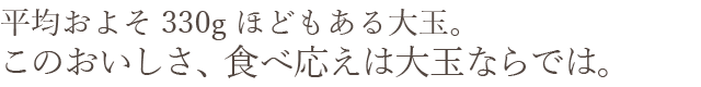 平均およそ330gほどもある大玉