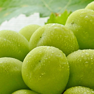 皮ごと食べれるシャインマスカット 皮ごと食べれるシャインマスカット