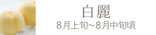 岡山県産 白麗（白桃）おすすめ通販お取り寄せ