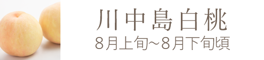 岡山県産 瀬戸内白桃おすすめ通販お取り寄せ