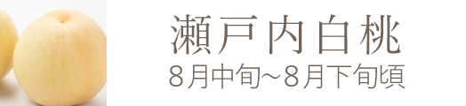 岡山県産 瀬戸内白桃おすすめ通販お取り寄せ