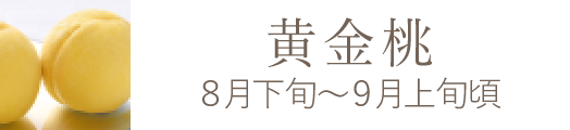 岡山県産 瀬戸内白桃おすすめ通販お取り寄せ