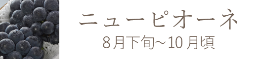 岡山県産 白麗（白桃）おすすめ通販お取り寄せ
