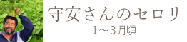 桃・ぶどう・マスカットおすすめ通販お取り寄せ