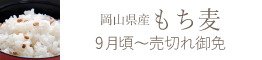 岡山県産 白皇（白桃）おすすめ通販お取り寄せ