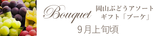 岡山県産 桃太郎ぶどう おすすめ通販お取り寄せ