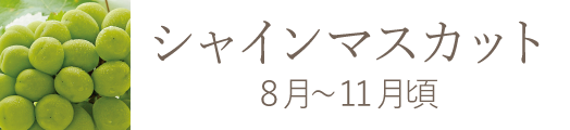 岡山県産 清水白桃 おすすめ通販お取り寄せ