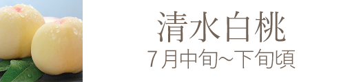 岡山県産 白麗（白桃）おすすめ通販お取り寄せ