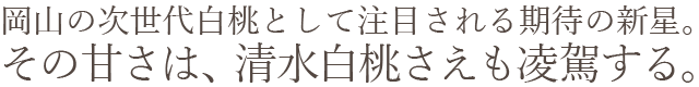 岡山県産 おかやま夢白桃 おすすめ通販お取り寄せ