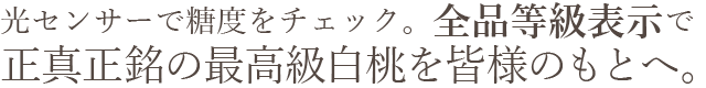 岡山県産 白麗（白桃）おすすめ通販お取り寄せ